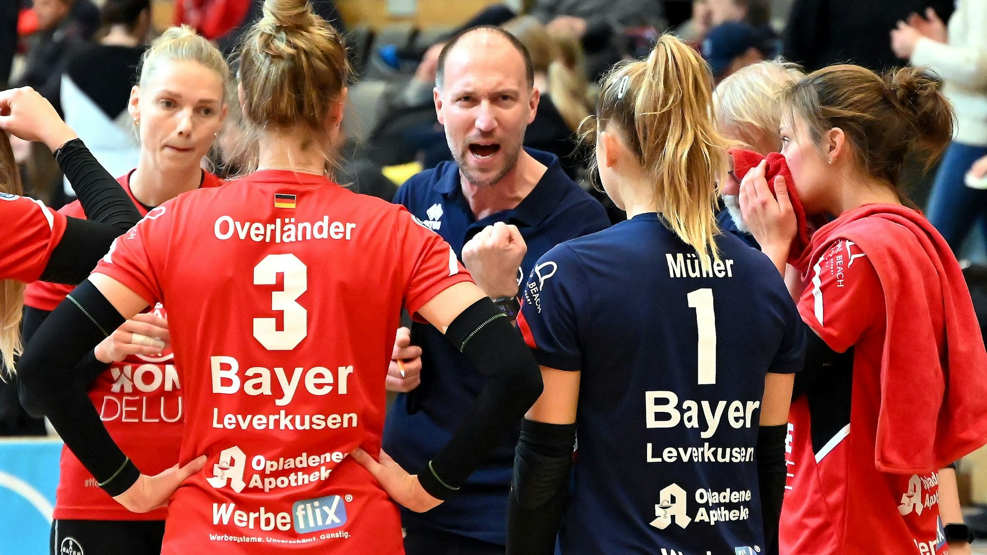 11.11.2023, Volleyball-Bayer Volleys - Dresden
mitte: TR: Dirk Sauermann (Bayer)
Foto: Uli Herhaus