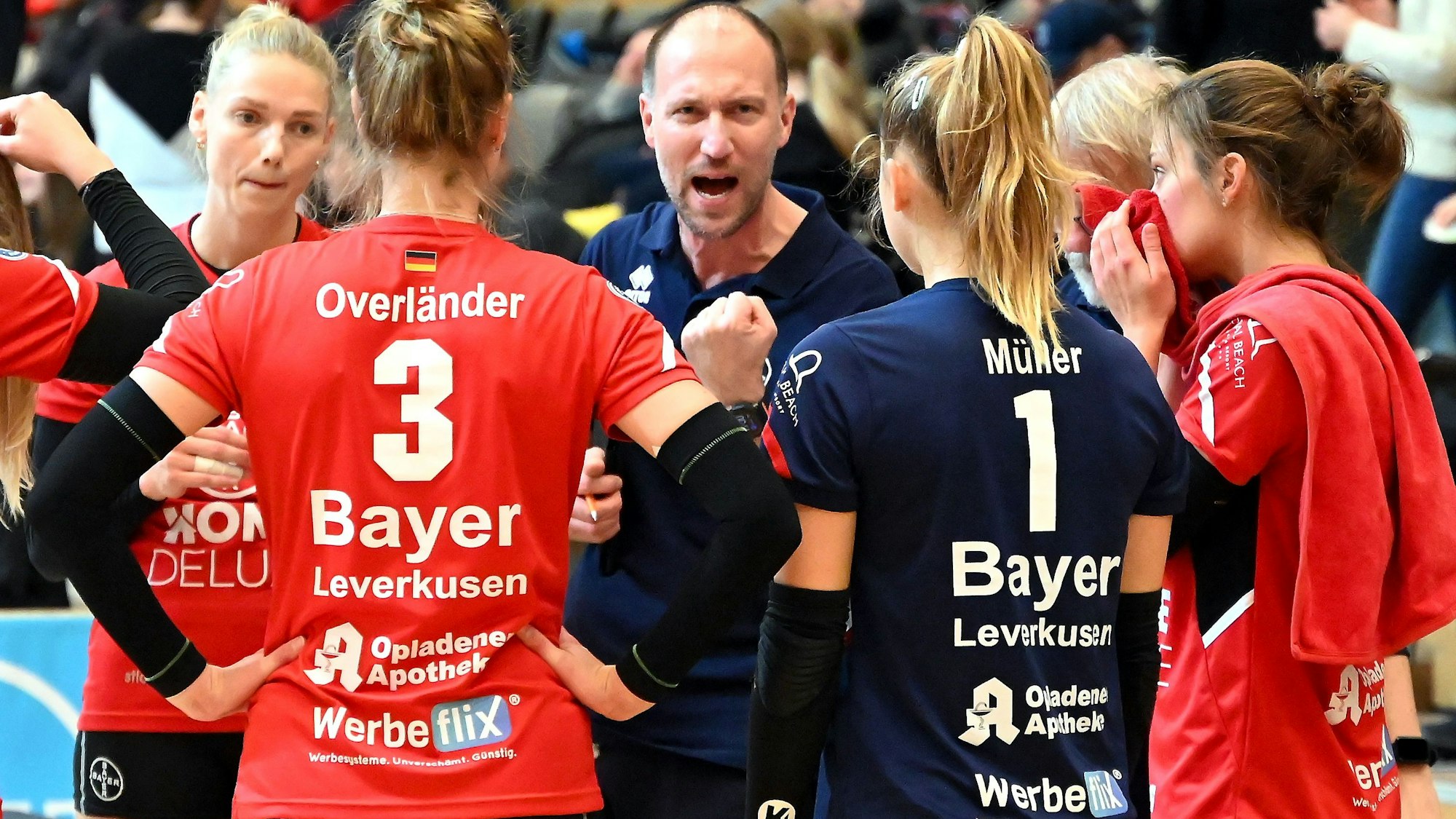 11.11.2023, Volleyball-Bayer Volleys - Dresden
mitte: TR: Dirk Sauermann (Bayer)
Foto: Uli Herhaus