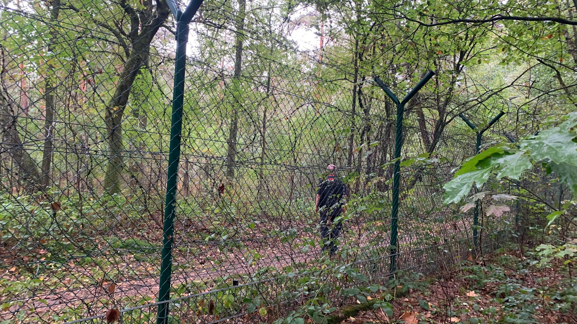 Ein Maschenzaun mit einer Krone aus Stacheldraht im Wald. Hinter dem Zaun gehen ein Mann in dunkler Kleidung.
