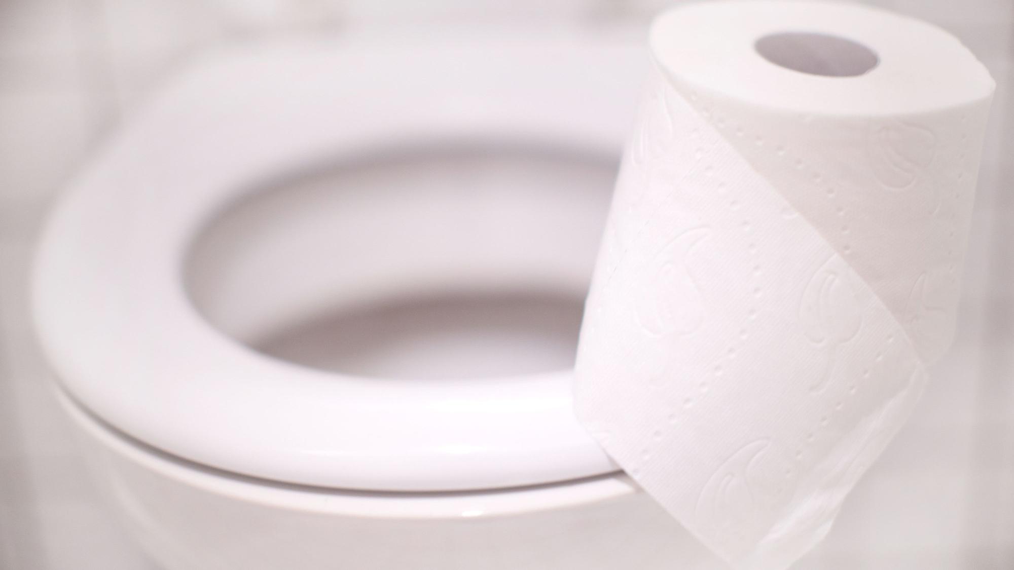 Eine Rolle Toilettenpapier liegt auf einer Toilette in Düsseldorf