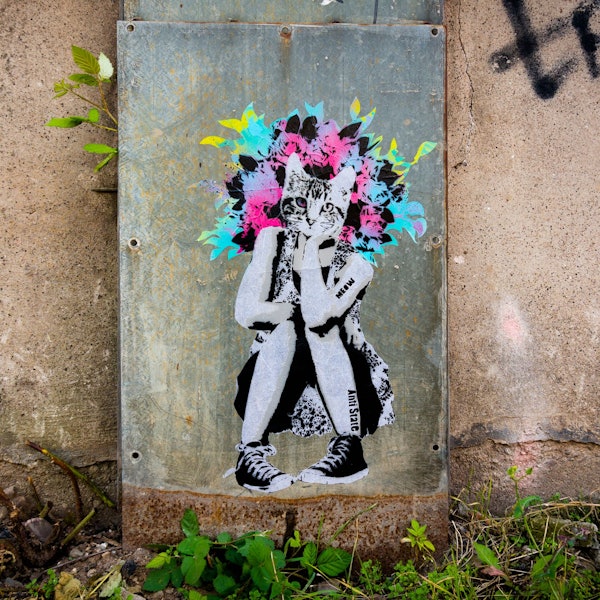 Hier sieht man Street-Art-Werk des Künstlers Meow. Auf dem Bild: ein Katzenkopf mit einem Menschenkörper