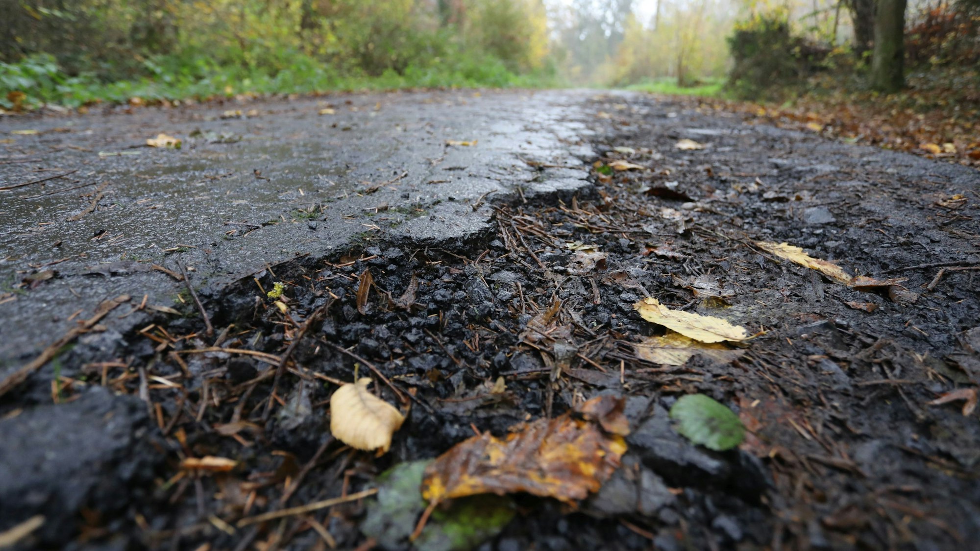 Schotter statt Asphalt und Unebenheiten gibt es auf dem Mucherwiesenweg.