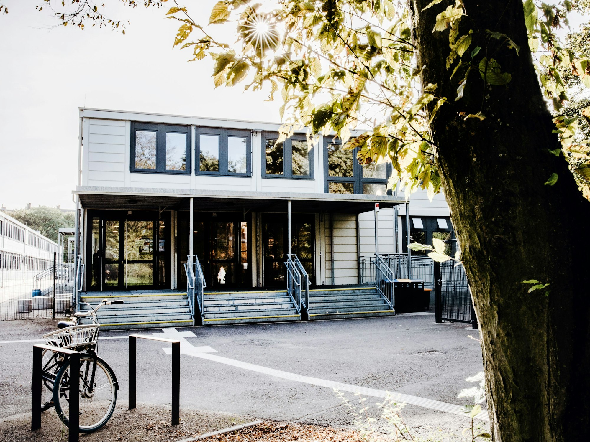 Der Eingang eines Schulgebäudes, im Vordergrund sind ein Baum und ein Fahrrad zu sehen.