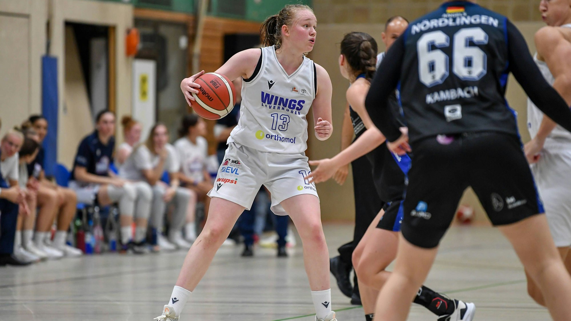 1. Damen Basketball Bundesliga: Orthomol WINGS Leverkusen vs. EIGNER Angels Noerdlingen, 30.09.2023 Greta Kroeger Orthomol WINGS Leverkusen 13, 1. Damen Basketball Bundesliga: Orthomol WINGS Leverkusen vs. EIGNER Angels Noerdlingen am 30.09.2023 in der Sporthalle Werner-Heisenberg-Gymnasium in Opladen Nordrhein-Westfalen *** 1 Womens Basketball Bundesliga Orthomol WINGS Leverkusen vs EIGNER Angels Noerdlingen, 30 09 2023 Greta Kroeger Orthomol WINGS Leverkusen 13 , 1 Womens Basketball Bundesliga Orthomol WINGS Leverkusen vs EIGNER Angels Noerdlingen on 30 09 2023 in the sports hall Werner Heisenberg Gymnasium in Opladen North Rhine Westphalia Copyright: xBEAUTIFULxSPORTS/Mueller-Laschetx