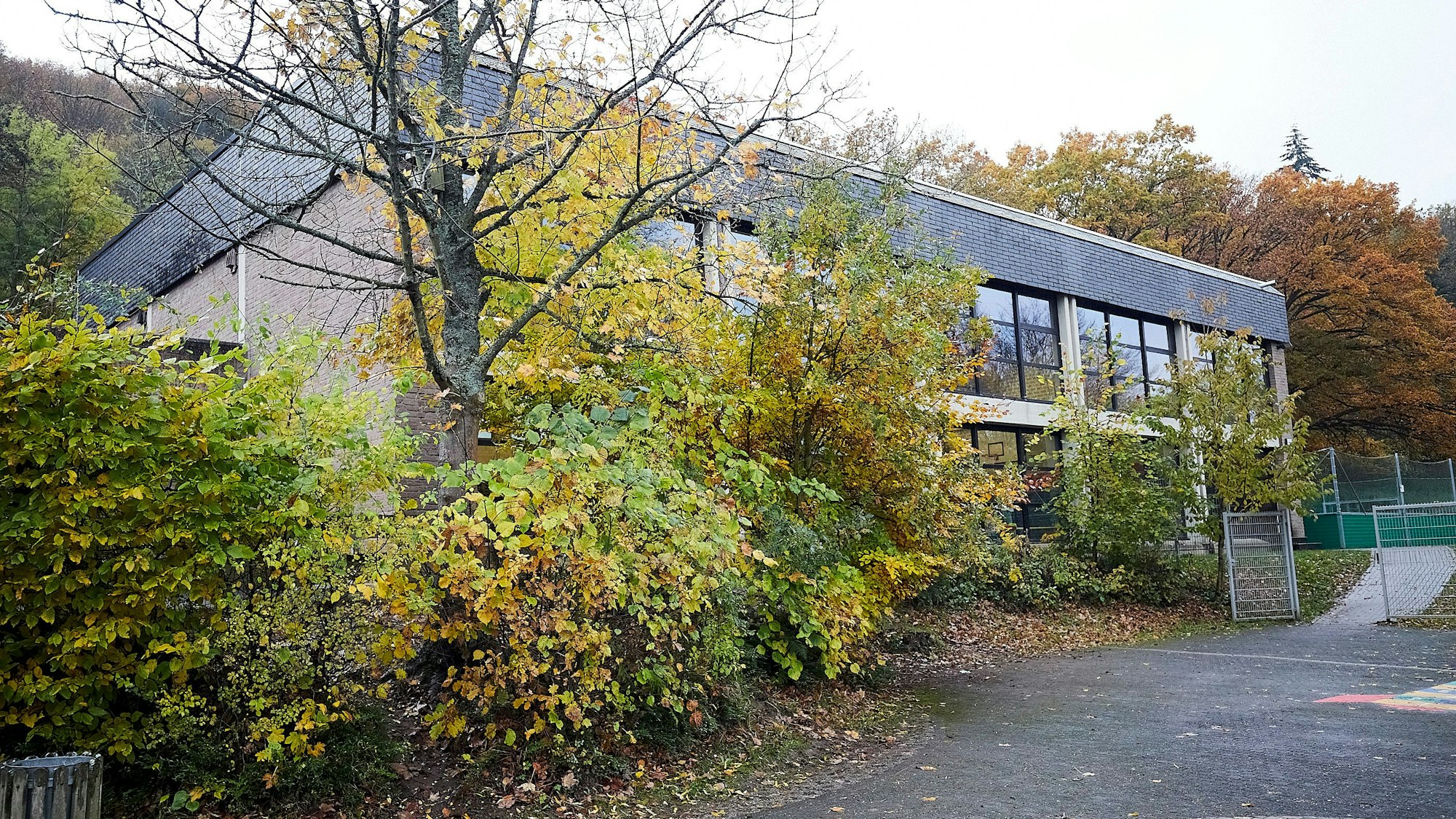 Hinter Bäumen und Sträuchern mit herbstIich gefärbtem Laub liegt die Turnhalle der Heimbacher Grundschule.