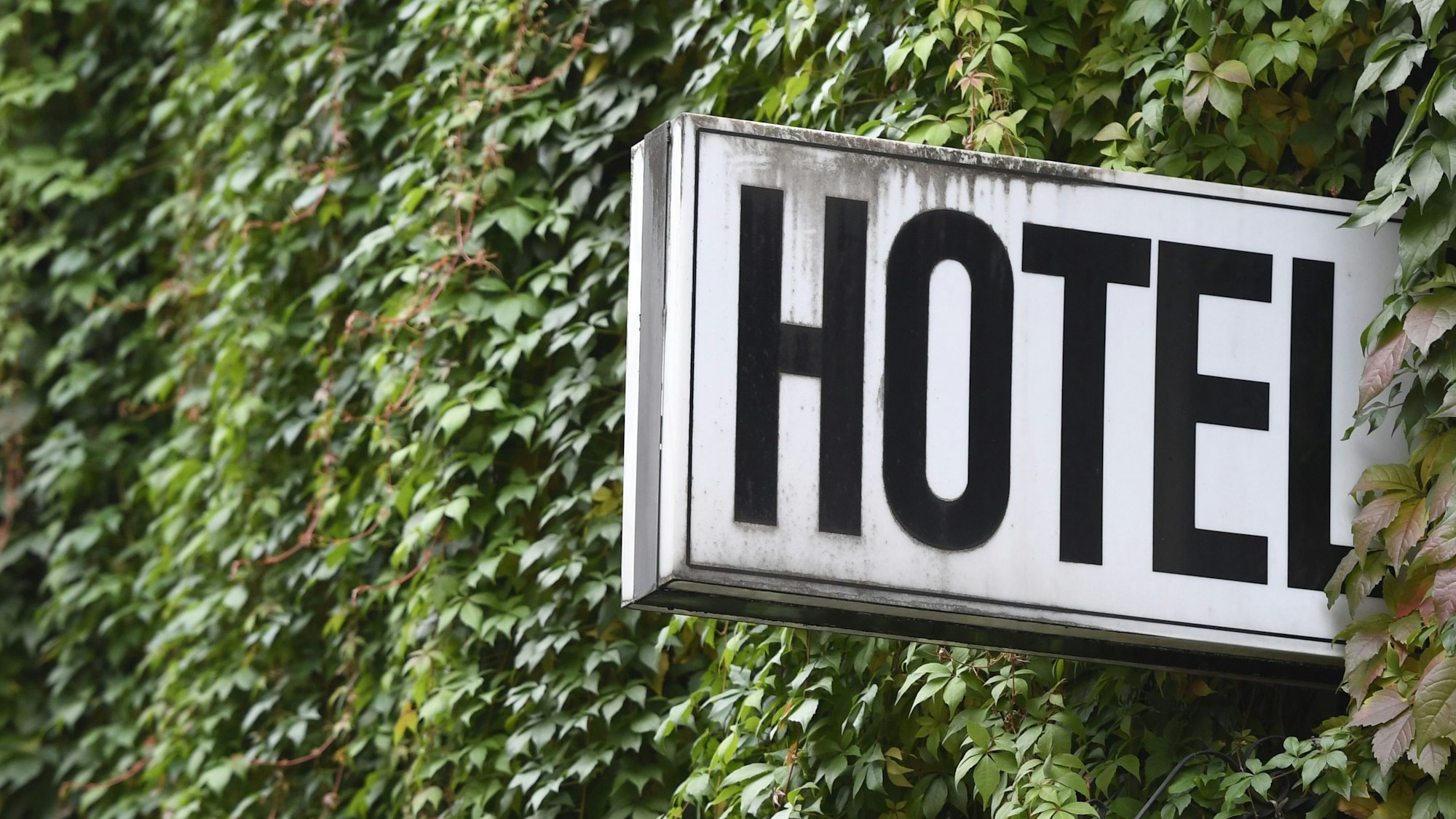 Ein Schild mit der Aufschrift ´Hotel» ist an der mit Efeu bewachsenden Wand eines Gebäudes in der Düsseldorfer Altstadt angebracht.