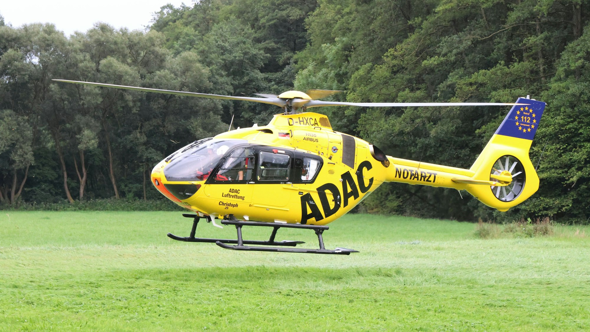 Ein Rettungshubschrauber des ADAC landet auf einem Feld. (Symbolbild)