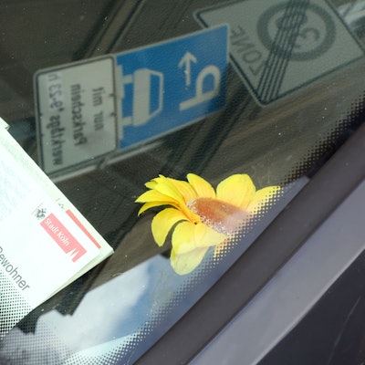 Ein Anwohnerparkausweis liegt hinter einer Windschutzscheibe.