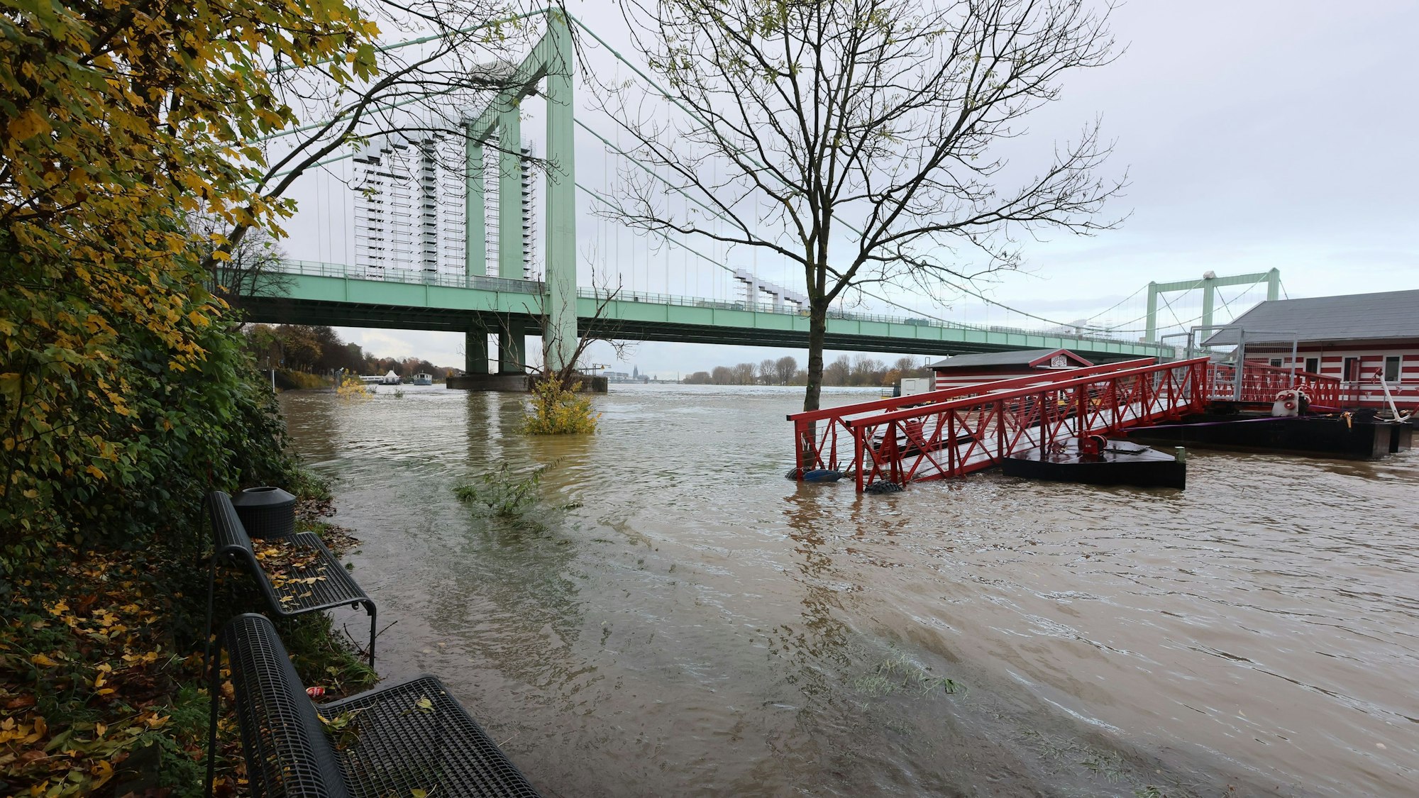 Blick auf den Rhein mit der Rodenkirchener Brücke im Hintergrund sowie dem Steg zum Bootshaus (rechts). Im Vordergrund sind Parkbänke zu sehen, die jetzt unmittelbar am Wasser stehen.