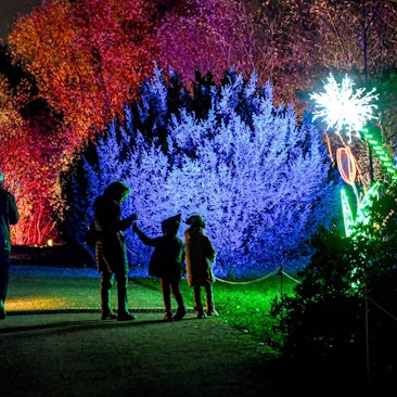 Bunte Lichter und Kinder.