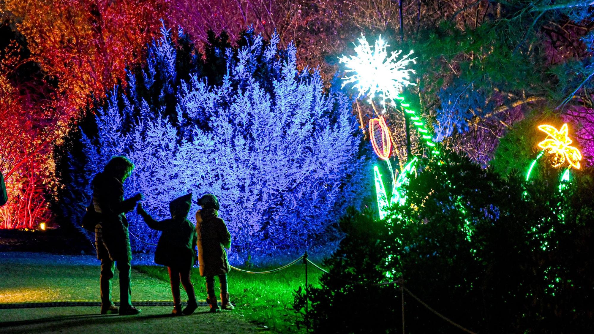 Bunte Lichter und Kinder.