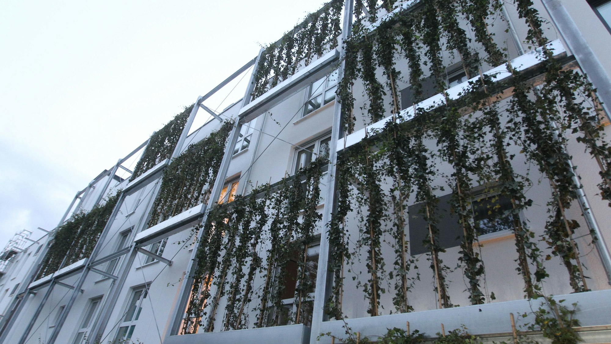 Mit einer vertikalen Gebäudebegrünung sind die drei Häuser an der Bahnlinie versehen.