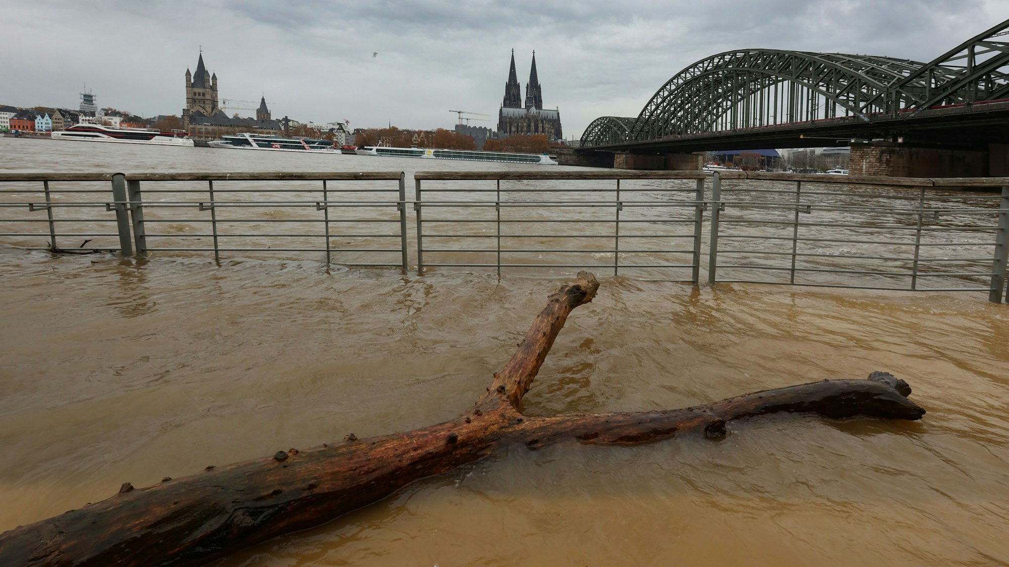Blick auf das braune Rheinwasser vor dem Rheinboulevard. Im Hintergrund ist der Kölner Dom zu sehen. Im Vordergrund liegt ein kahler Baumstamm.