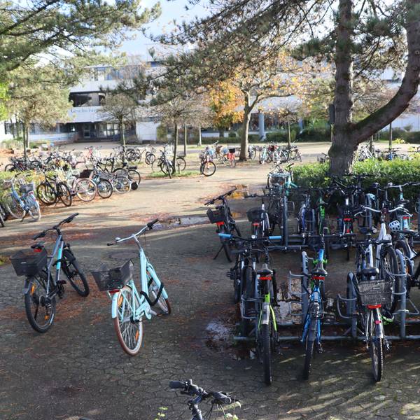 Auf dem Foto ist eine große Zahl Fahrräder zu sehen, die am Gymnasium abgestellt sind.
