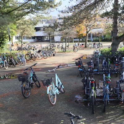 Auf dem Foto ist eine große Zahl Fahrräder zu sehen, die am Gymnasium abgestellt sind.