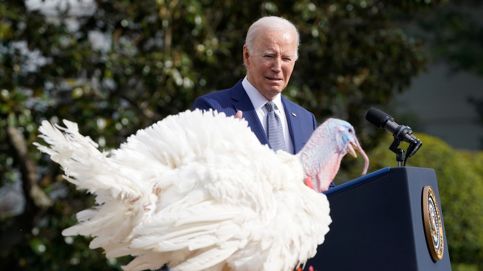 Joe Biden begnadigt am 20. November einen Thanksgiving-Truthahn in Washington.
