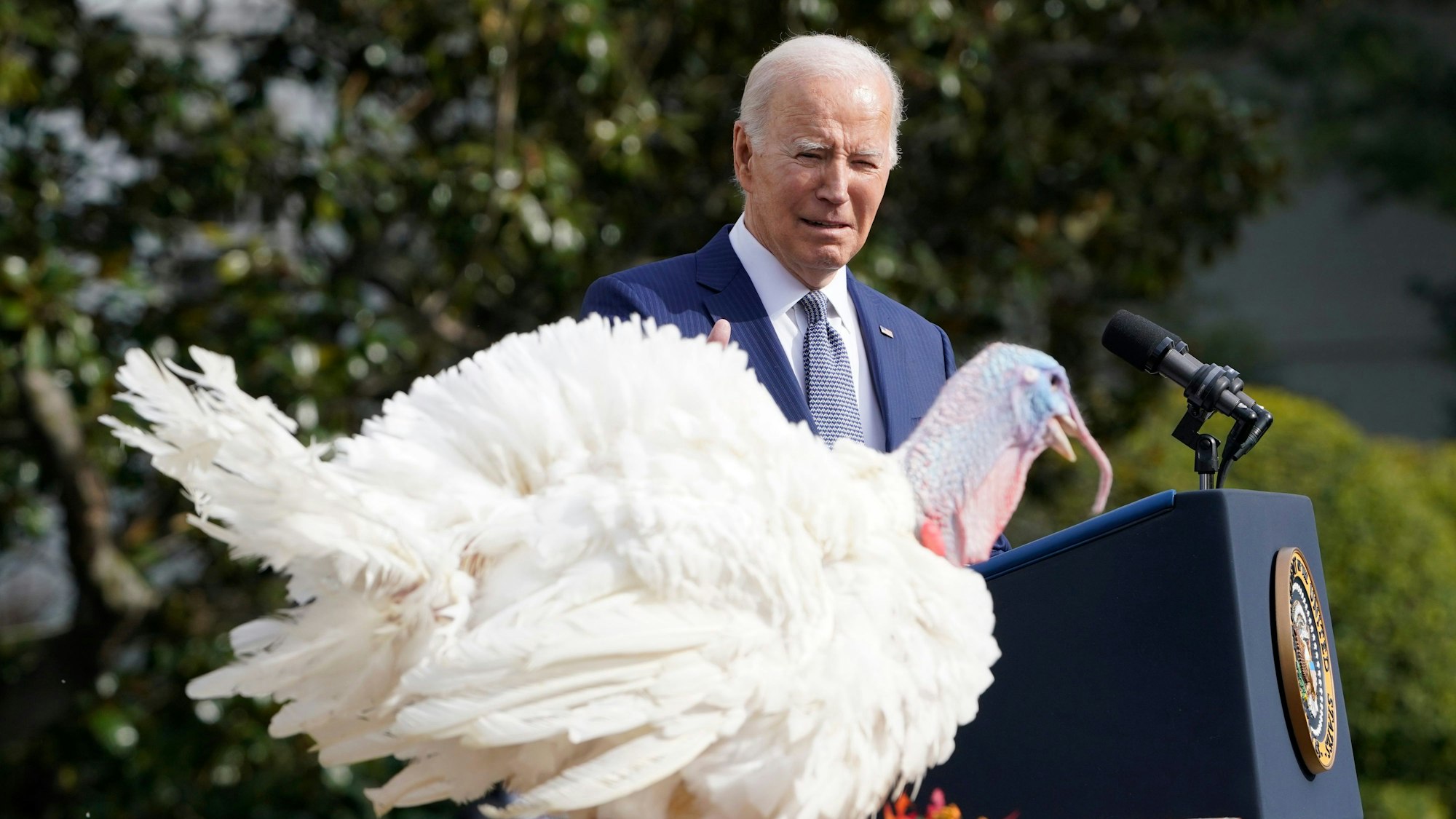 Joe Biden begnadigt am 20. November einen Thanksgiving-Truthahn in Washington.