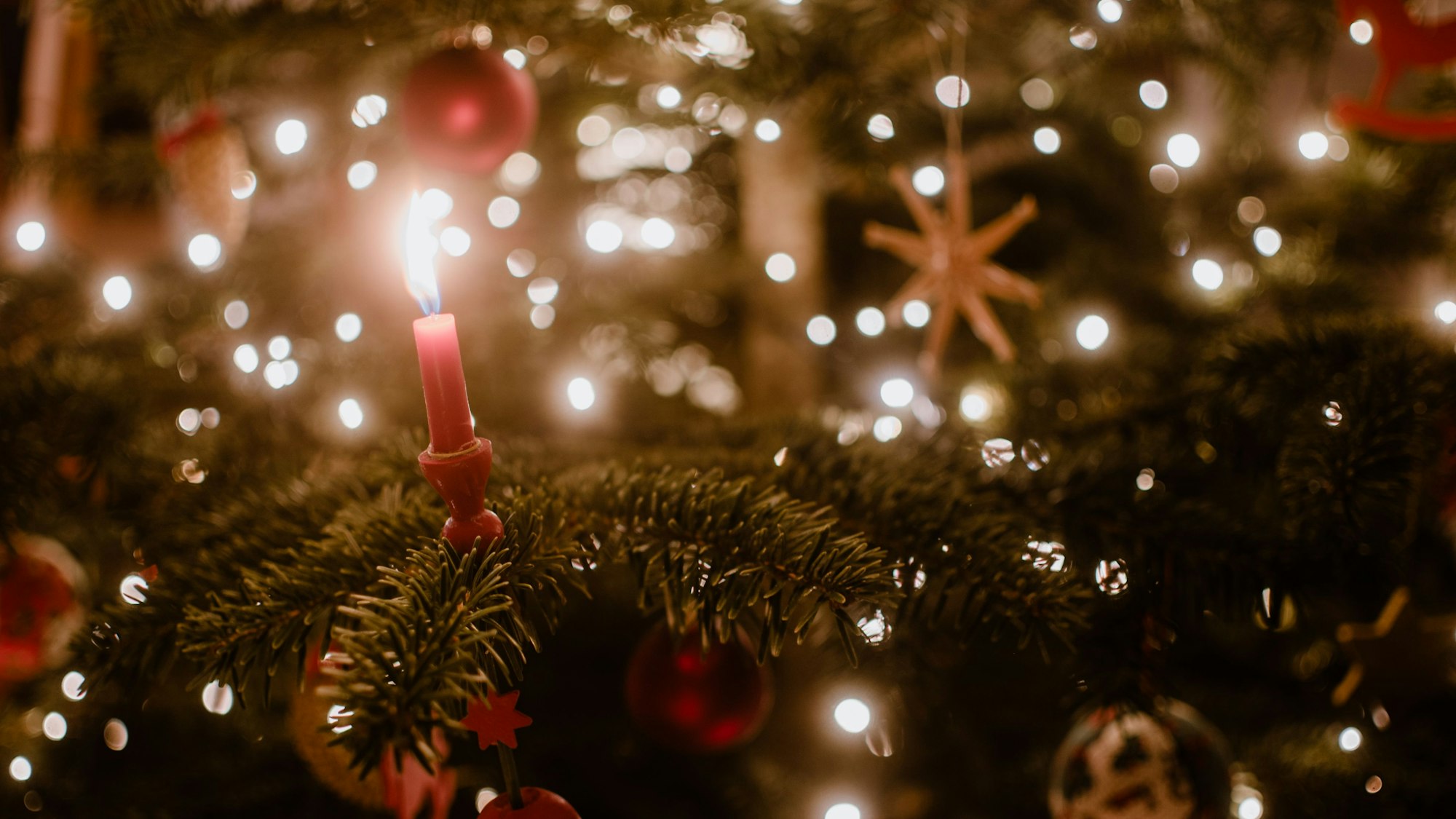 Eine rote Kerze brennt an einem geschmückten Weihnachtsbaum