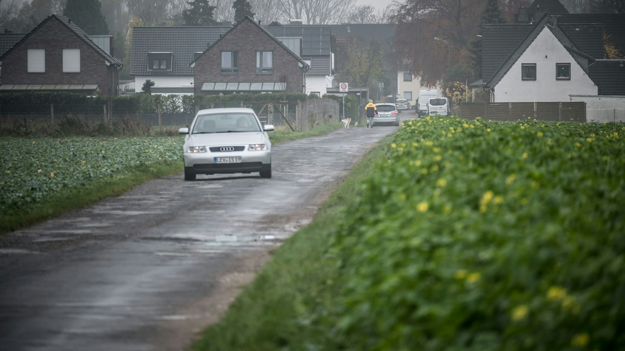 Grünstraße, die CDU will Tempo 30. Foto: Ralf Krieger