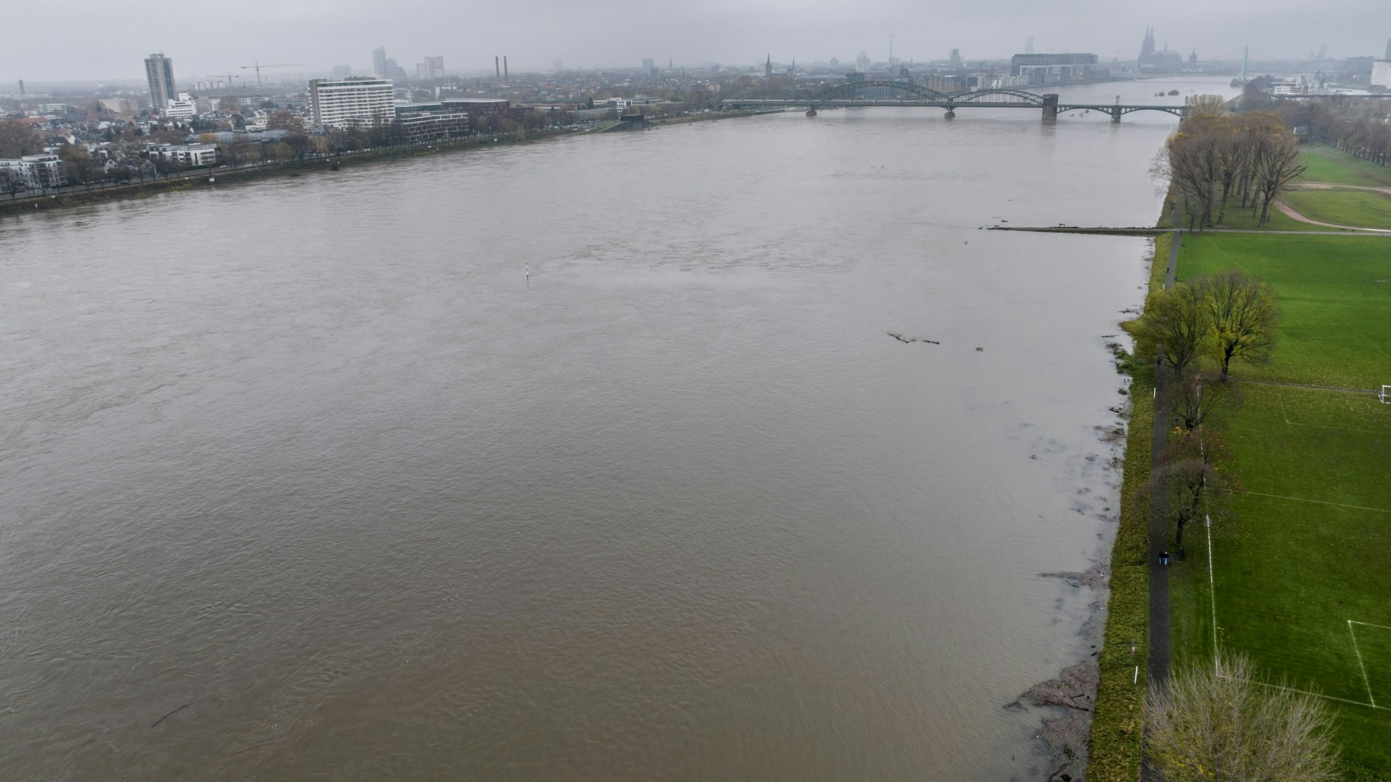 Blick auf das Hochwasser an den Poller Wiesen bei trübem Herbstwetter. Auf dem Rhein ist kein Schiff ist unterwegs.