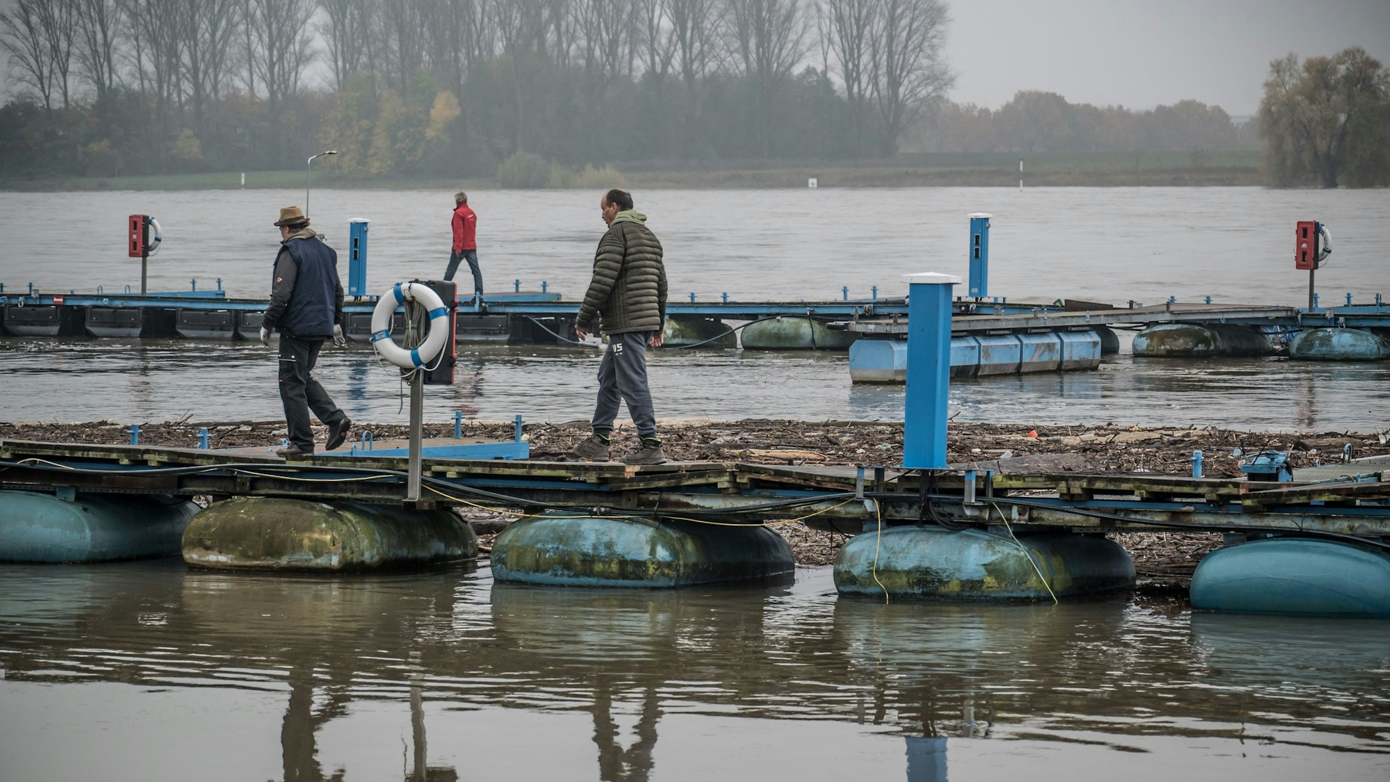 Treibgut macht Ärger im Hitdorfer Hafen, Yacht-Club Leverkusen-Hitdorf.