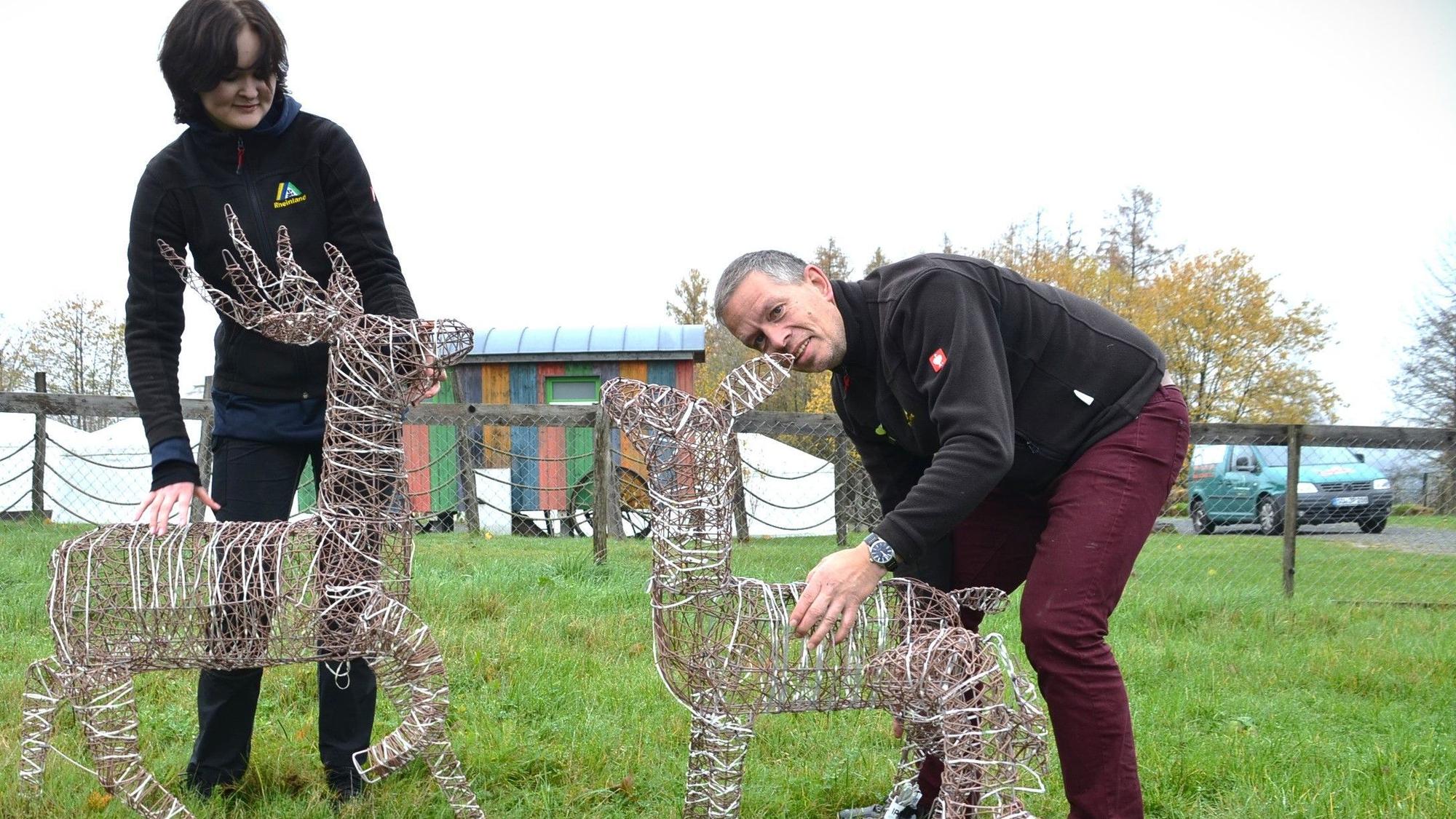 Hand an die Rentiere legen beim Aufbau Ida Müller und Patrick Mielke, Leiter der Abteilung Natur und Umwelt des Waldbröler Naturerlebnisparks Panarbora. Auch diese Figuren werden leuchten. Unser Foto zeigt den Aufbau im früheren Freigehege des Geflügels.