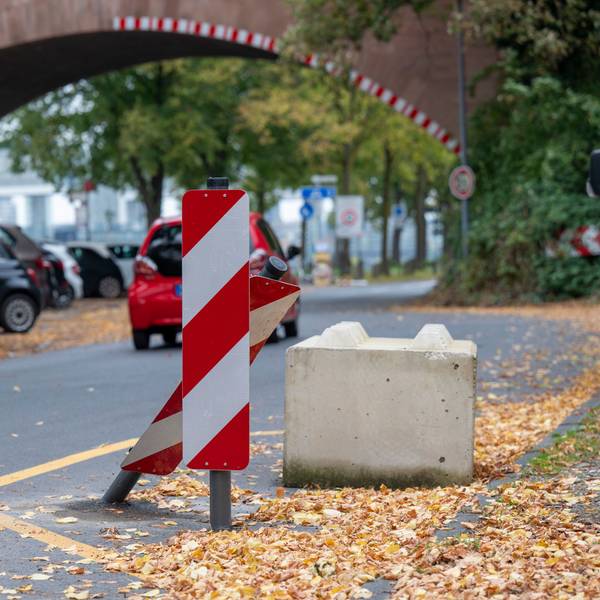 Die Alfred-Schütte-Allee