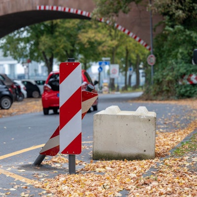 Die Alfred-Schütte-Allee
