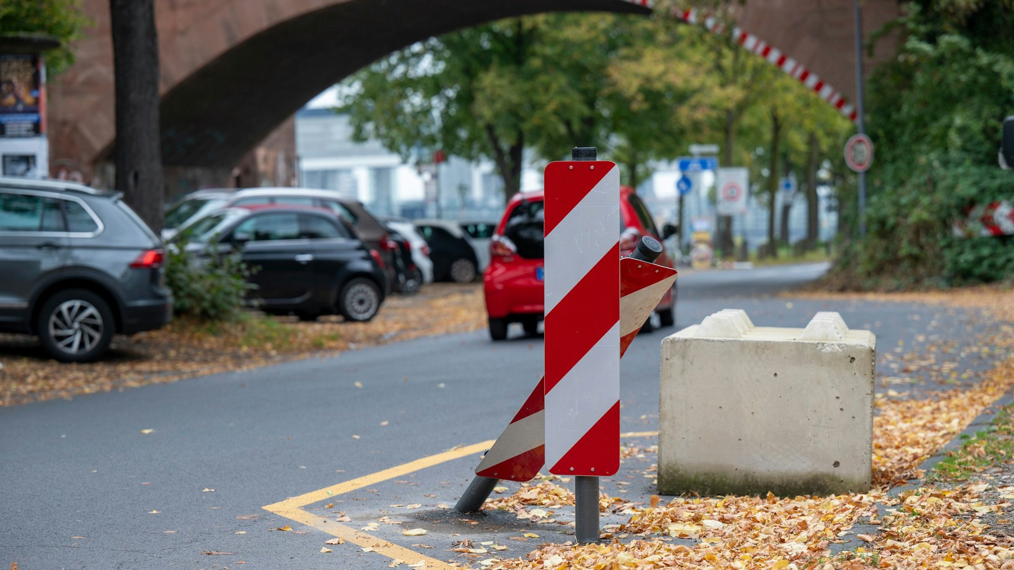 Die Alfred-Schütte-Allee