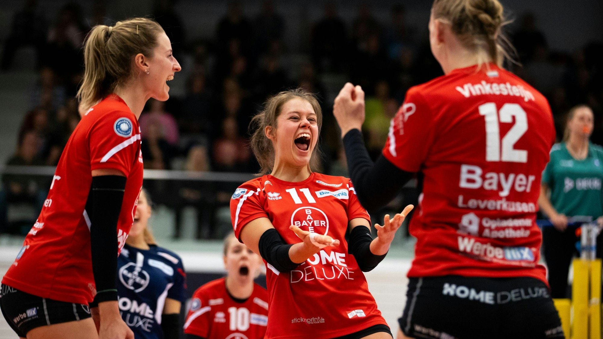 2. Bundesliga Frauen Pro: Schwarz-Weiss Erfurt vs. TSV Bayer 04 Leverkusen Erfurt 18.11.2023 Jubel, Sarah Overländer 3 TSV Bayer 04 Leverkusen links, Svenja Enning 11 TSV Bayer 04 Leverkusen Bildmitte und Laurine Vinkesteijn 12 TSV Bayer 04 Leverkusen rechts 2. Bundesliga Frauen Pro: Schwarz-Weiss Erfurt vs. TSV Bayer 04 Leverkusen Riethsporthalle Erfurt 18.11.2023 *** 2 Bundesliga Women Pro Schwarz Weiss Erfurt vs TSV Bayer 04 Leverkusen Erfurt 18 11 2023 Cheering, Sarah Overländer 3 TSV Bayer 04 Leverkusen left , Svenja Enning 11 TSV Bayer 04 Leverkusen center and Laurine Vinkesteijn 12 TSV Bayer 04 Leverkusen right 2 Bundesliga Women Pro Schwarz Weiss Erfurt vs TSV Bayer 04 Leverkusen Riethsporthalle Erfurt 18 11 2023 Copyright: xBEAUTIFULxSPORTS/Duehringx