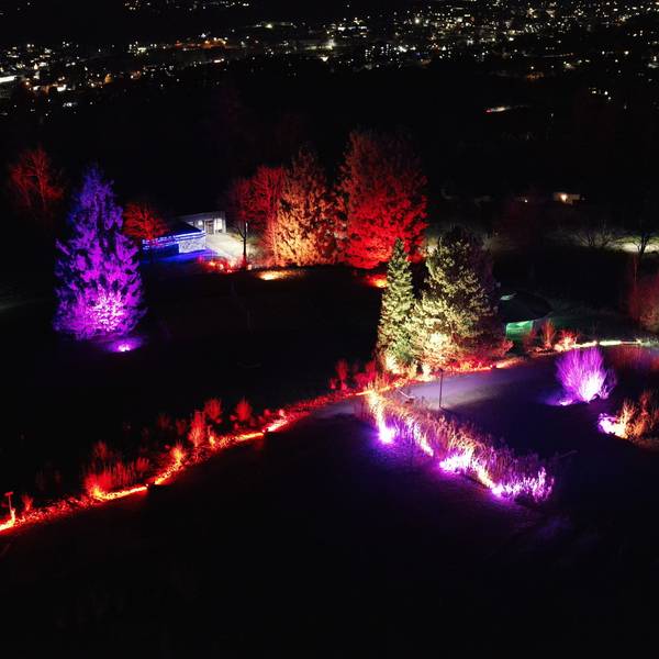Spektakulär ist der Ausblick vom 34 Meter hohen Aussichtsplateau des Panarbora-Turms in Waldbröl beim Winterleuchten, wie hier zur Premiere im Jahr 2021.