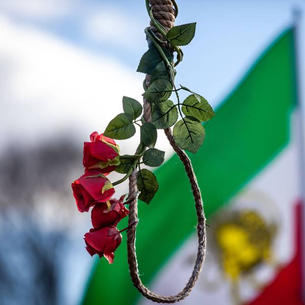 Während einer Kundgebung gegen die Hinrichtung von Demonstranten im Iran durch das islamische Regime hängt eine mit Rosen geschmückte Schlinge an einem Galgen.