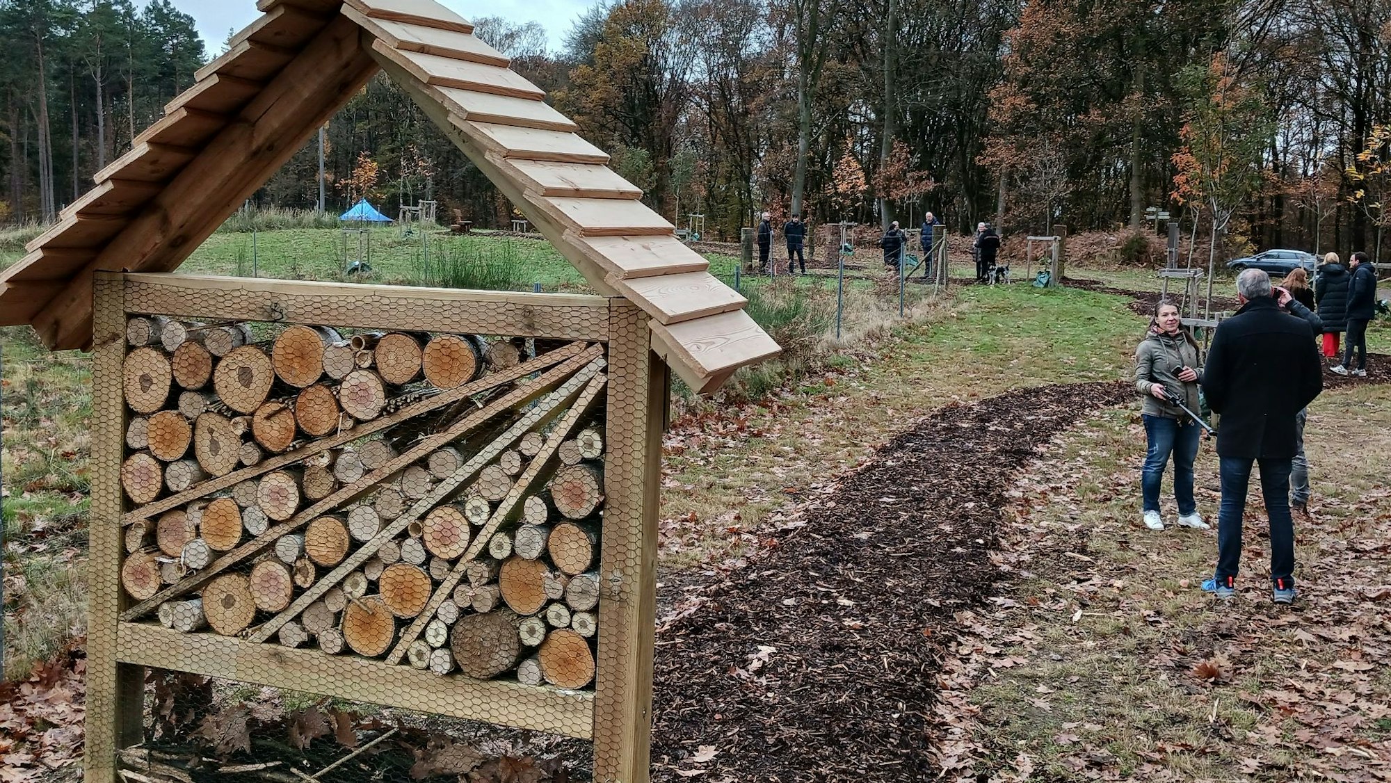 Ein Insektenhotel an einem Pfad über eine Waldlichtung