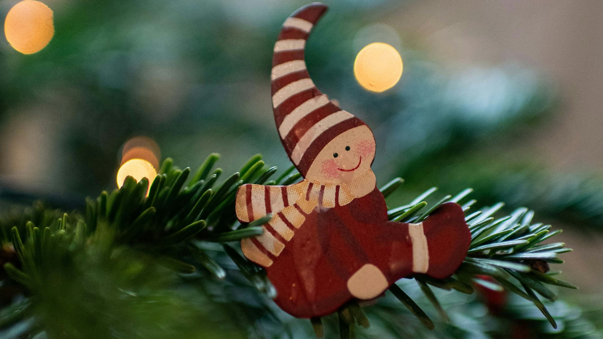 Ein Weihnachtswichtel sitzt auf grünen Tannenzweigen, im Hintergrund leuchten Lichterketten.