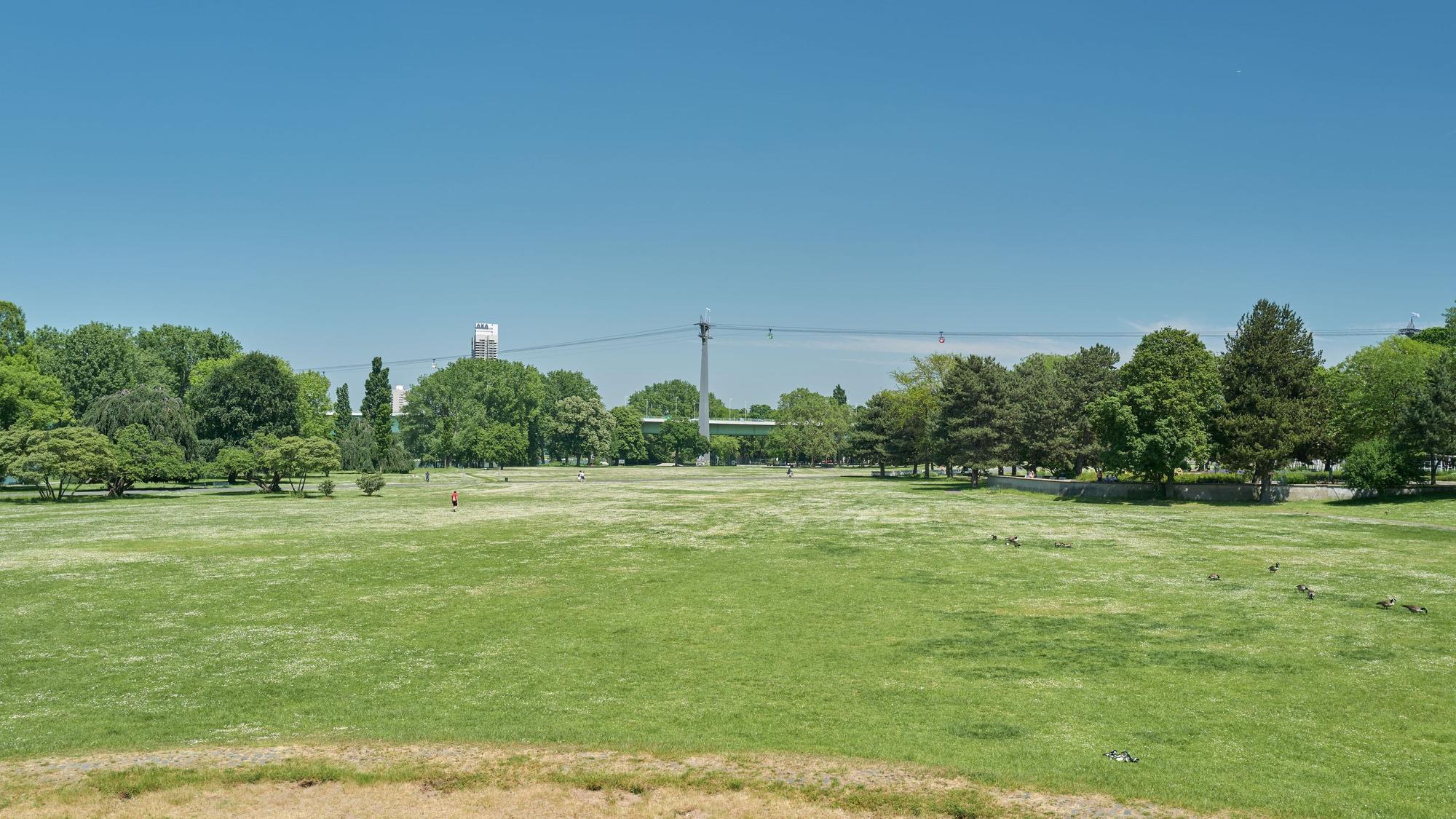 Zu sehen ist der Kölner Rheinpark.