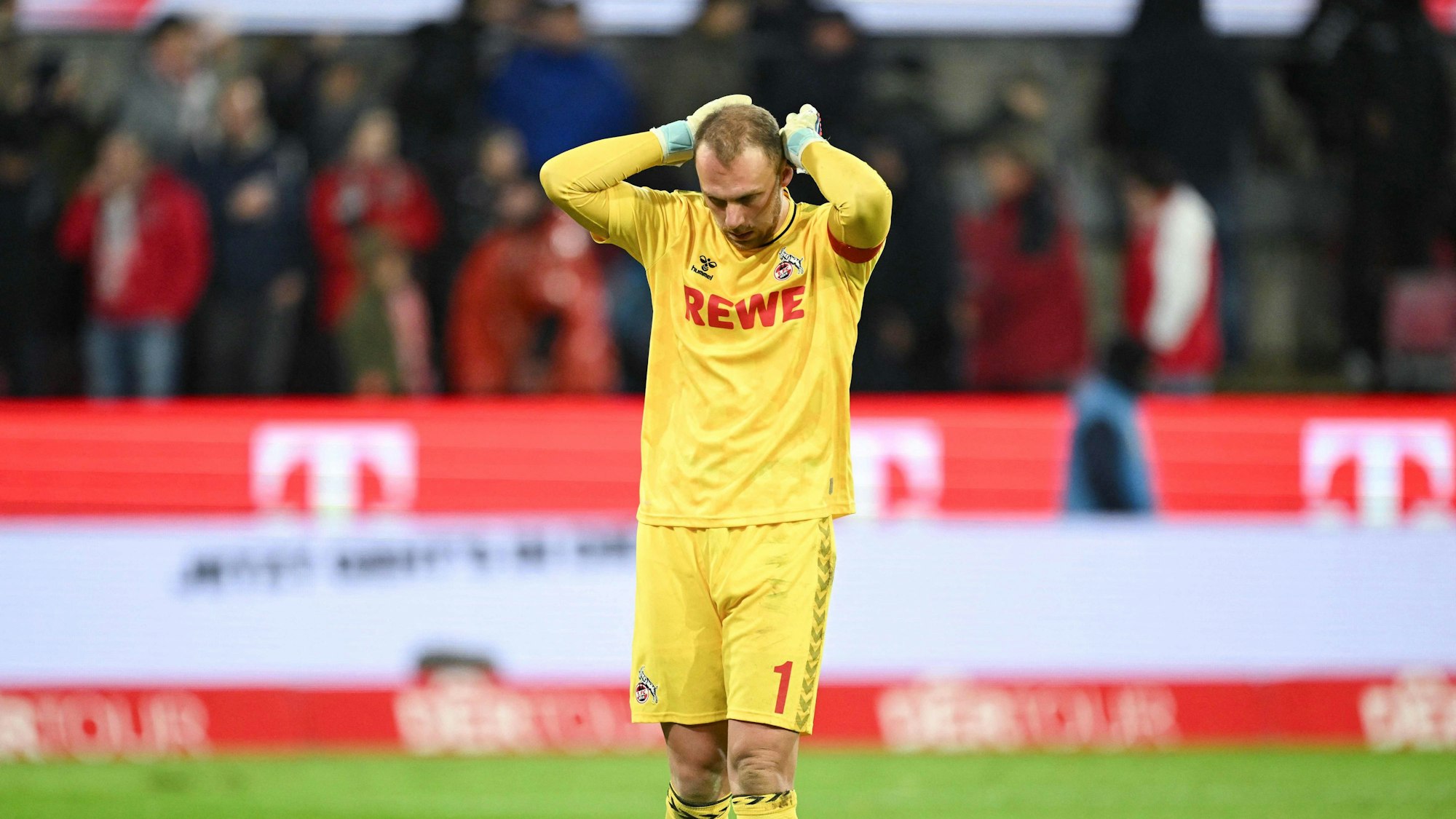 Schwäbe schlägt die Hände über dem Kopf zusammen