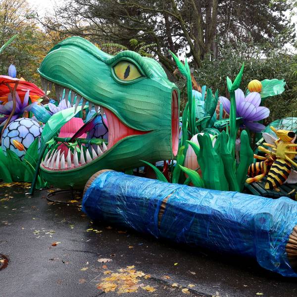 An einem Weg auf dem Hinterhof des Kölner Zoos türmen sich Einzelteile der Lichtskulpturen, darunter ein Dinosaurierkopf, Insekten und Pflanzen.