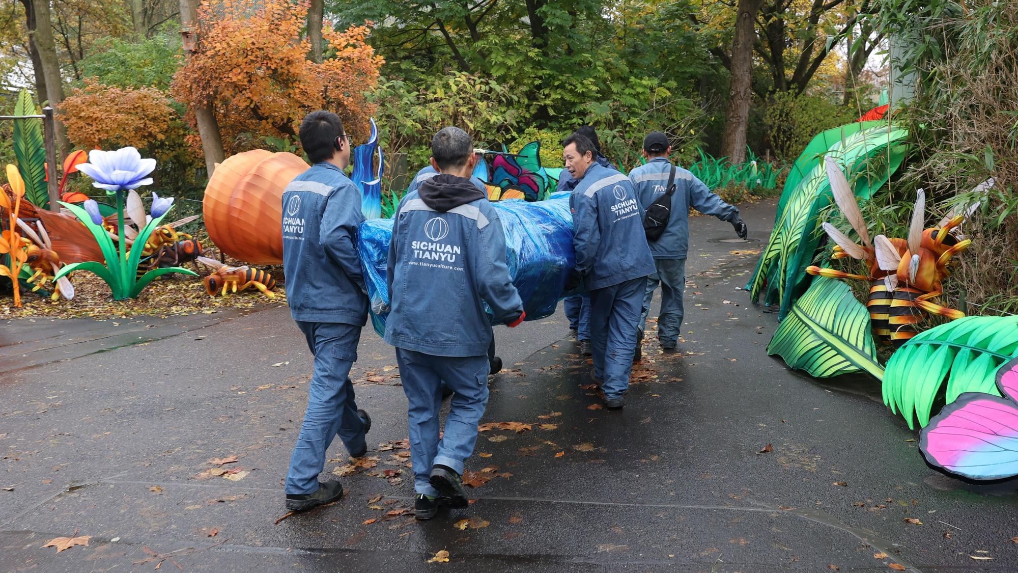 Fünf Mitarbeiter tragen ein blau verpacktes Exponat über den Hinterhof des Zoos.