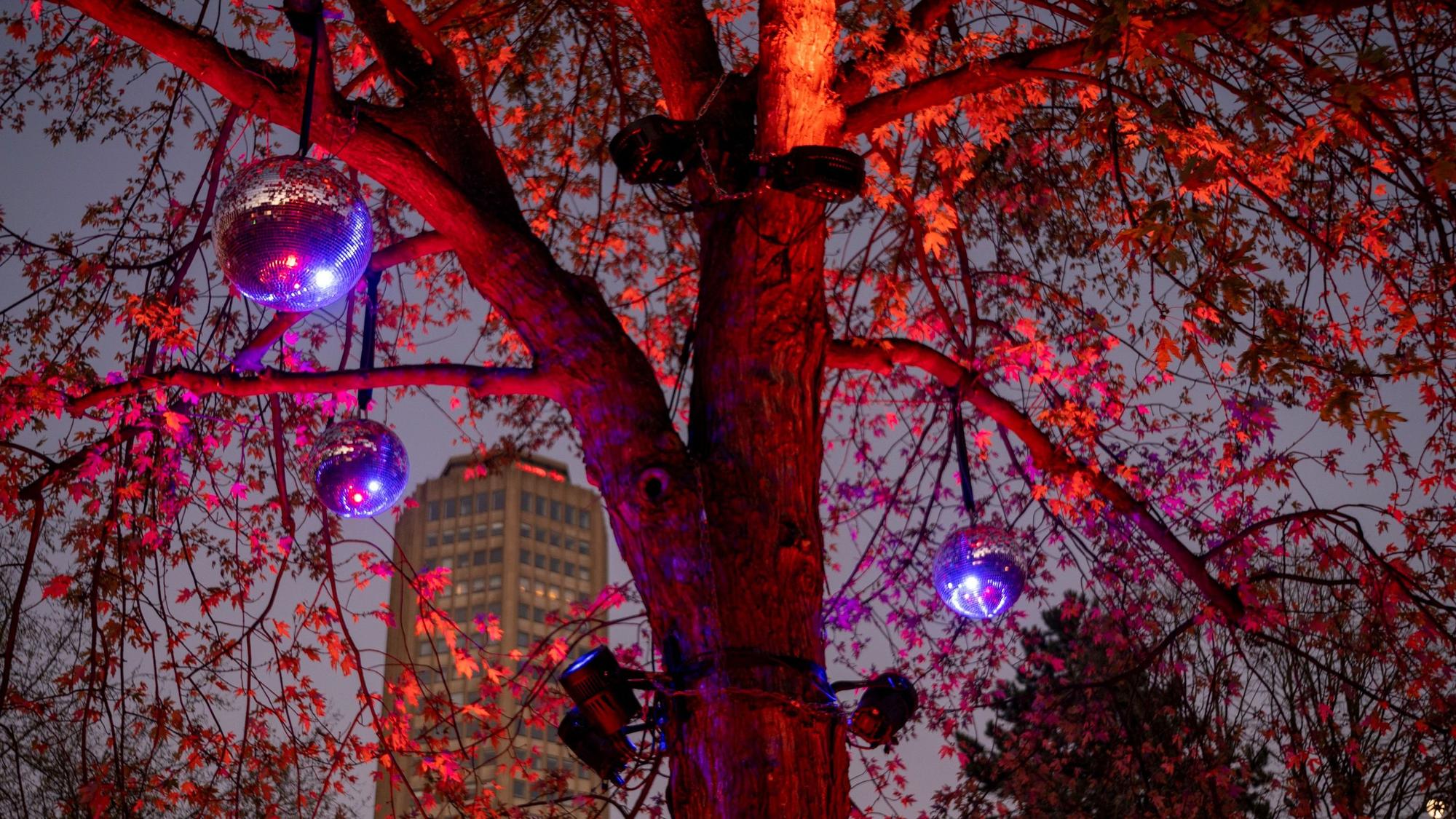 Zu sehen ist der Weihnachtsmarkt auf dem Ebertplatz in Köln.