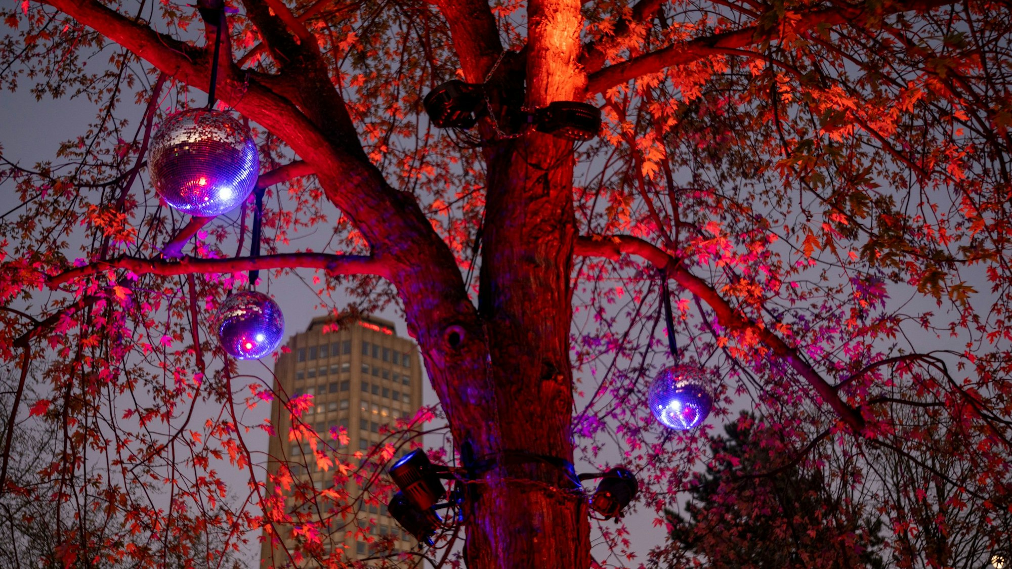 Zu sehen ist der Weihnachtsmarkt auf dem Ebertplatz in Köln.