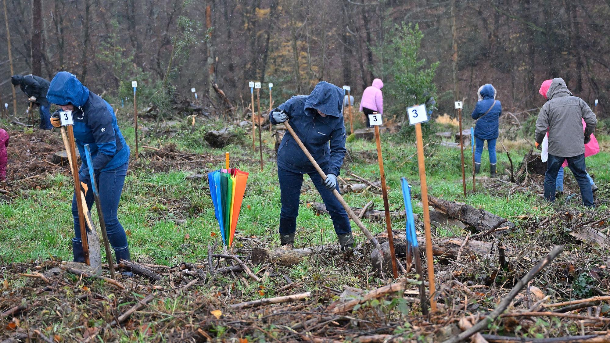 Das Foto zeigt die Pflanzaktion in Odenthal