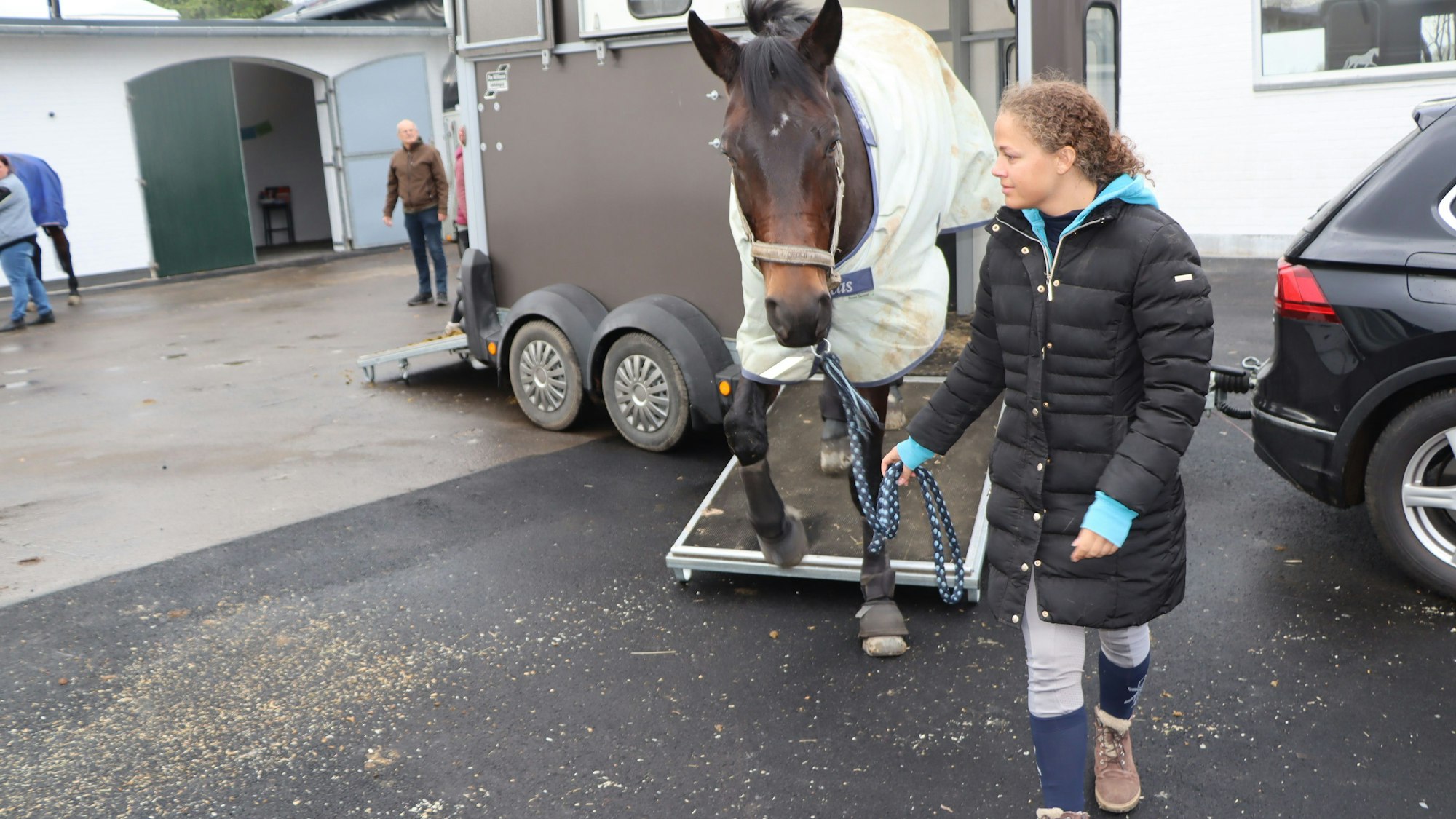Zu sehen ist eine junge Frau, die ihr Pferd aus dem Autoanhänger führt.