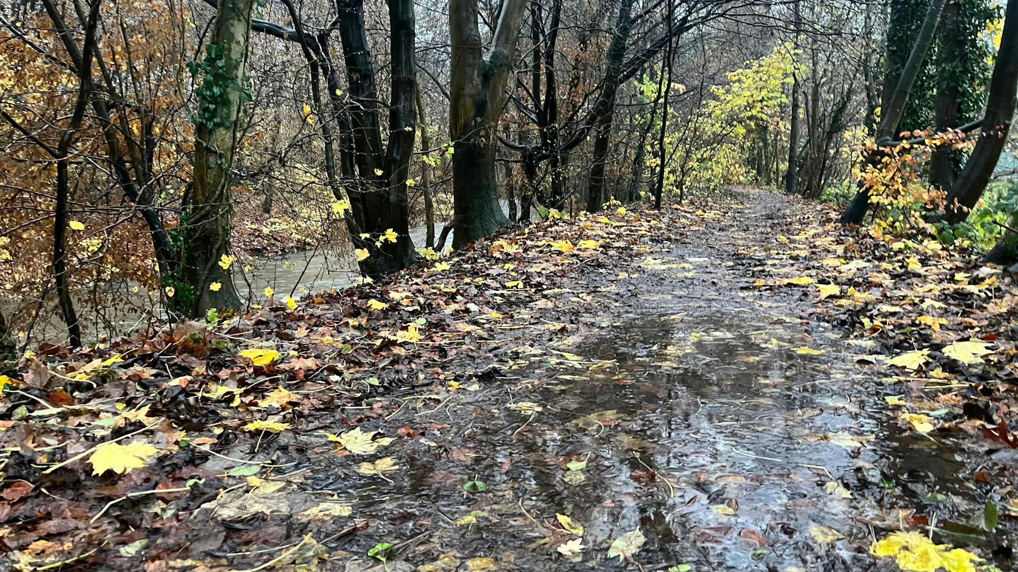 Radweg Schlebusch entlang der Dhünn und Dhünndeich