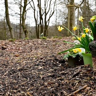 Ein Blumengesteck im Begräbniswald.