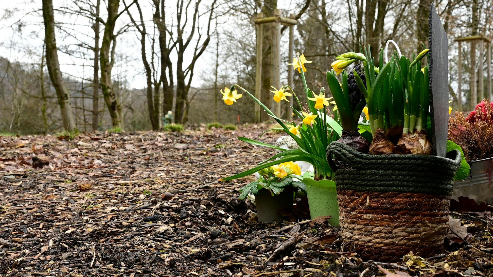 Ein Blumengesteck im Begräbniswald.