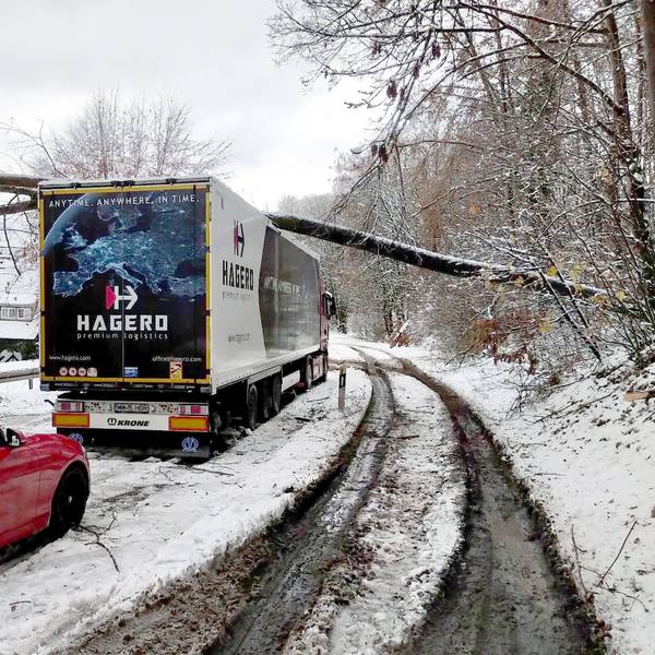 Eltville: Auf einem Lkw, der bei schneeglatter Straße auf der B260 bei Eltville-Martinsthal im Rheingau-Taunus-Kreis stehengeblieben ist, liegt am Dienstag (28. November) ein umgestürzter Baum.