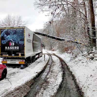Eltville: Auf einem Lkw, der bei schneeglatter Straße auf der B260 bei Eltville-Martinsthal im Rheingau-Taunus-Kreis stehengeblieben ist, liegt am Dienstag (28. November) ein umgestürzter Baum.