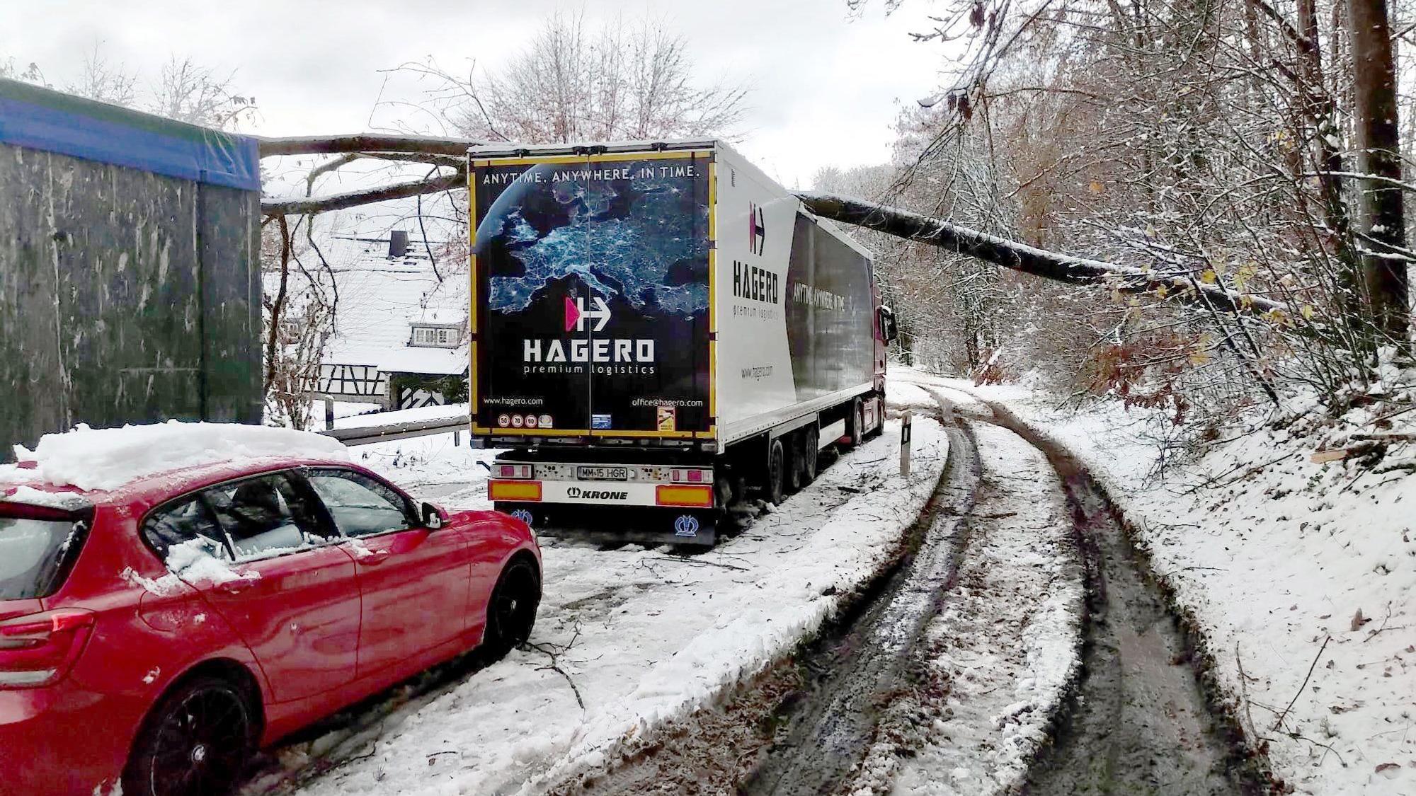 Eltville: Auf einem Lkw, der bei schneeglatter Straße auf der B260 bei Eltville-Martinsthal im Rheingau-Taunus-Kreis stehengeblieben ist, liegt am Dienstag (28. November) ein umgestürzter Baum.