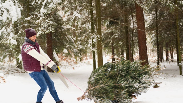 Mann zieht Tannenbaum im Schnee.