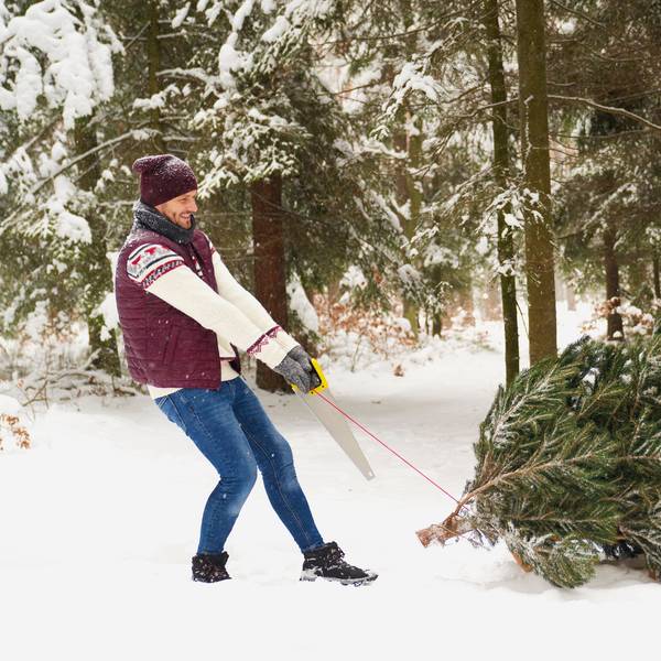 Mann zieht Tannenbaum im Schnee.